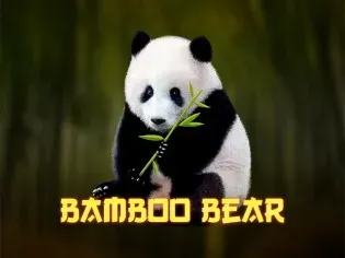 Bamboo Bear thumbnail